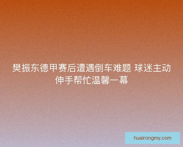 樊振东德甲赛后遭遇倒车难题 球迷主动伸手帮忙温馨一幕